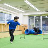 学校説明会（選んだ学科を体験できる日）ドッグスペシャリスト科の詳細