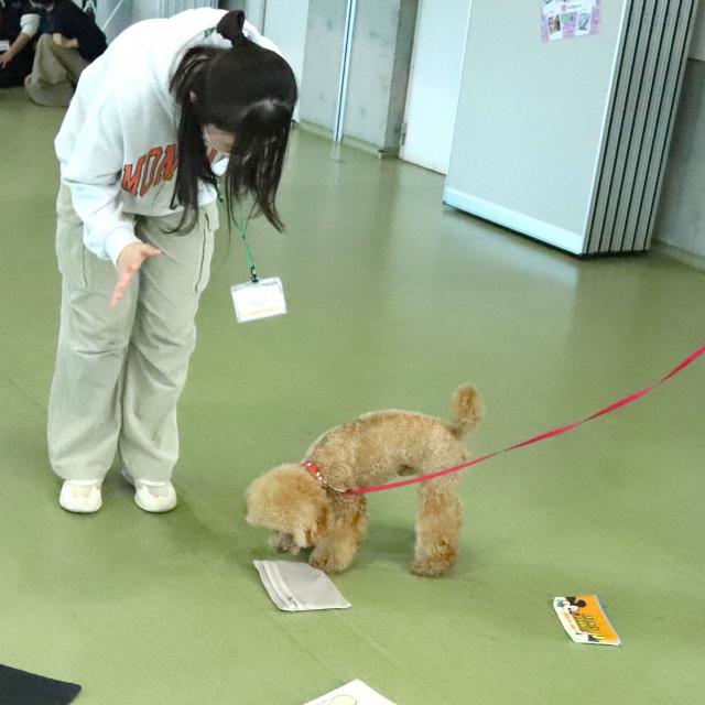 専門学校　ちば愛犬動物フラワー学園 【ドッグトレーナー】お仕事犬の嗅覚を理解しよう1