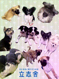 OCカメラサムネイル画像