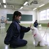 沖縄ペットワールド専門学校 1・2年生のみなさんへ動物のプロを目指そう。オープンキャンパス