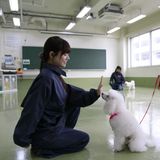 1・2年生のみなさんへ動物のプロを目指そう。オープンキャンパスの詳細