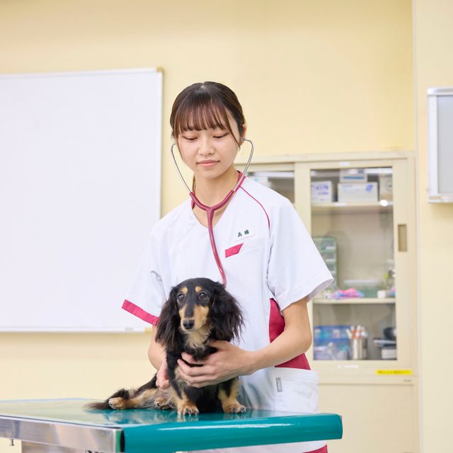 国際動物専門学校 学校説明会（全ての学科を体験できる）1