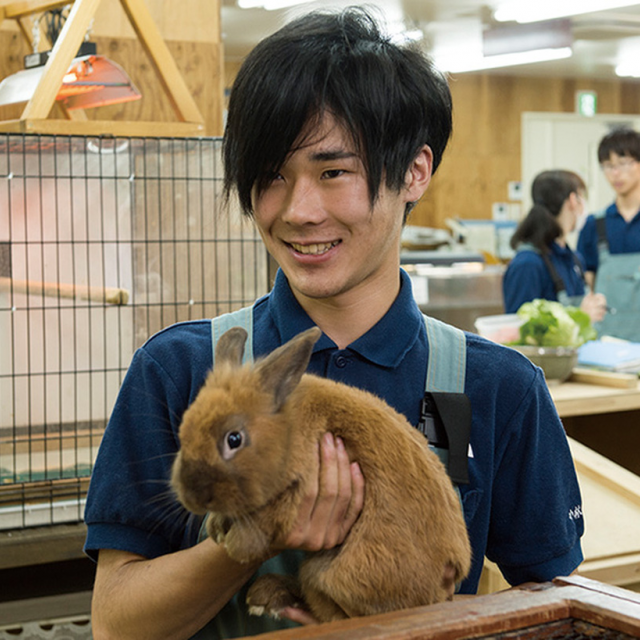 東京コミュニケーションアート専門学校 飼育実習室で実践して学ぶ!動物園飼育員体験1