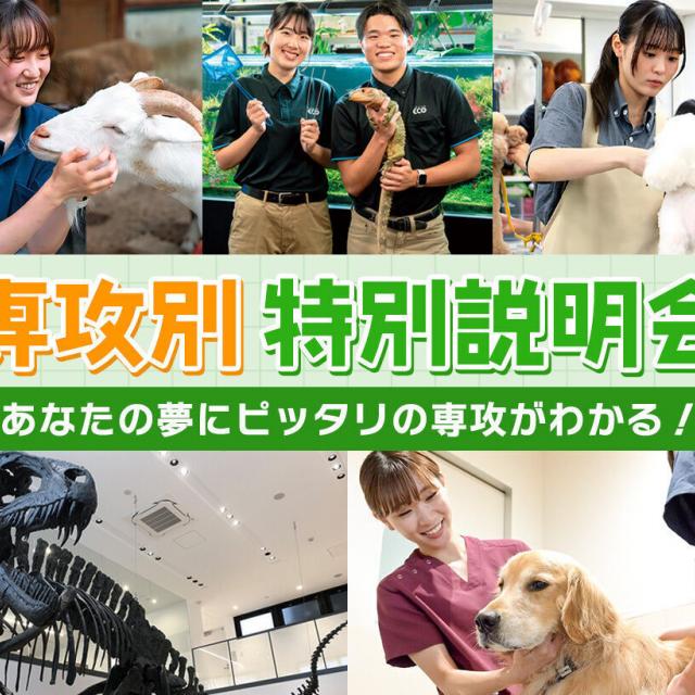 ＴＣＡ東京ＥＣＯ動物海洋専門学校 学校＆専攻別説明会1