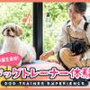 ＴＣＡ東京ＥＣＯ動物海洋専門学校 卒業生来校！ドッグトレーナー体験