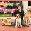 ＴＣＡ東京ＥＣＯ動物海洋専門学校 担当犬と学ぶドッグトレーニング