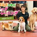 ＴＣＡ東京ＥＣＯ動物海洋専門学校 担当犬と学ぶドッグトレーニング