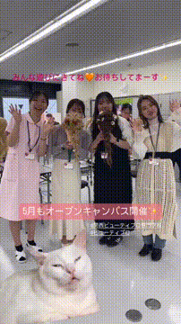 OCカメラサムネイル画像