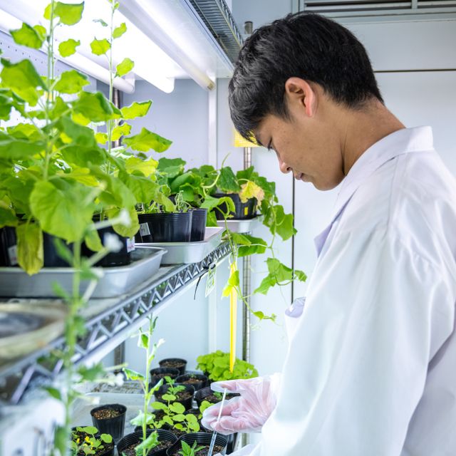 宇都宮大学 【峰キャンパス】農学部（詳細は後日公開、開催時間未定）2