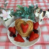 バレンタイン特別企画！ワンちゃん用のスイーツ作り体験♪の詳細