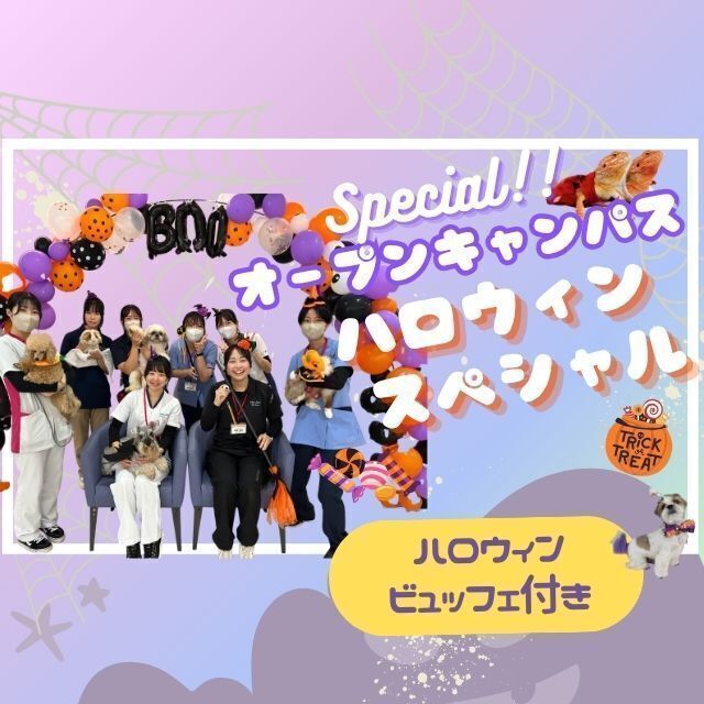 専門学校　ちば愛犬動物フラワー学園 【オープンキャンパス】～ハロウィンスペシャル～1