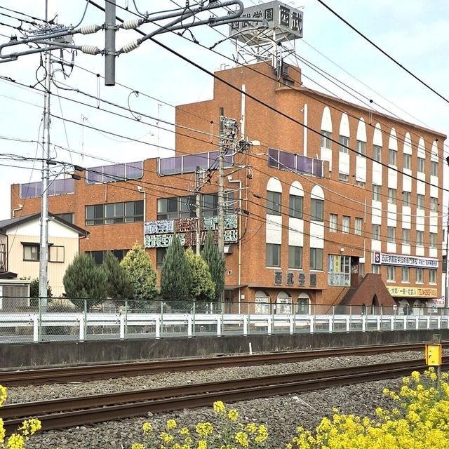 西武学園医学技術専門学校 身近な加工食品（駅徒歩7分、在学生と一緒に試食）2