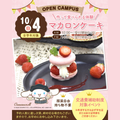 名古屋スイーツ＆カフェ専門学校 【作って食べれる☆】マカロンケーキ