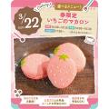 3/22(日)　春限定いちごのマカロン／東京スイーツ＆カフェ専門学校