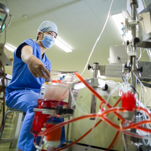 国際メディカル専門学校 【全員プレゼント！】臨床工学技士を知るクリスマスオーキャン★3