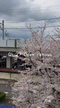 OCカメラサムネイル画像