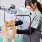 1体１の完全個別相談開催！不安なことを直接聞いてみよう！の詳細