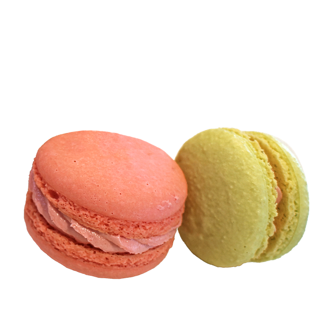 富山調理製菓専門学校 【製菓技術科】３/１４（土）はじめてでも成功する！マカロン2