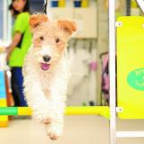 大阪ブレーメンのオープンキャンパス予約フォームの詳細