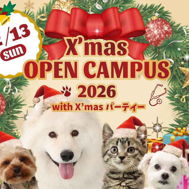 ヤマザキ動物専門学校 Xmasオープンキャンパス1