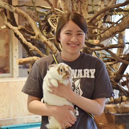 在校生レポート画像