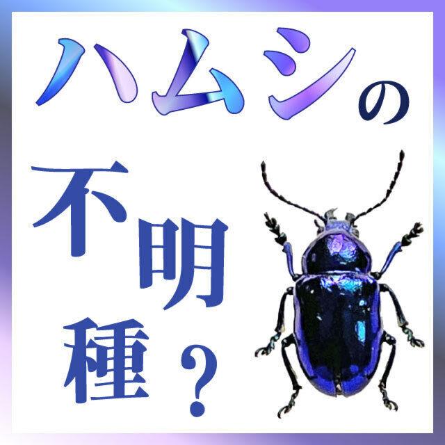日本自然環境専門学校 【大学も検討中のあなたへ】本校の研究を見てみよう！3