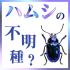 日本自然環境専門学校 【大学も検討中のあなたへ】本校の研究を見てみよう！3
