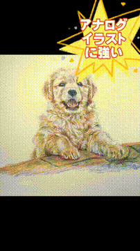 OCカメラサムネイル画像