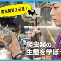ＴＣＡ東京ＥＣＯ動物海洋専門学校 爬虫類好き必見！爬虫類の生態を学ぼう