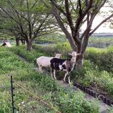 オープンキャンパス　入試説明会の詳細