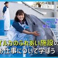 ＴＣＡ東京ＥＣＯ動物海洋専門学校 イルカのふれあい施設のお仕事について学ぼう