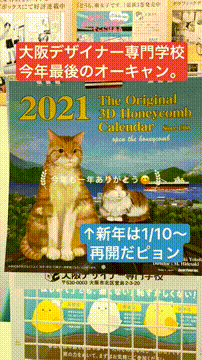 OCカメラサムネイル画像