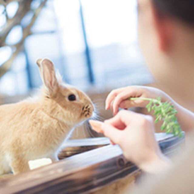 専門学校ビジョナリーアーツ 動物園飼育員体験1