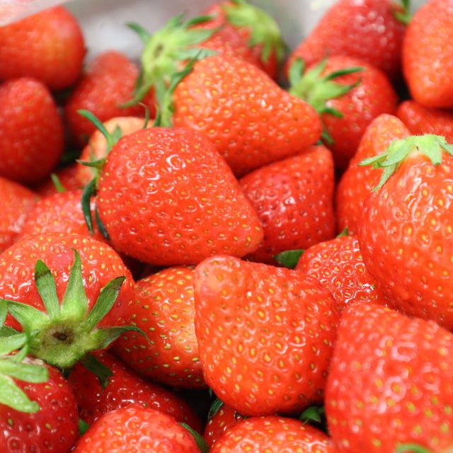 専門学校　東京テクニカルカレッジ あなたの知らないイチゴの世界1