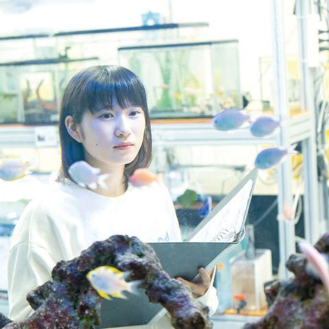 まるでミニ水族館！？ 水族館・アクアリスト体験！／仙台ECO動物海洋専門学校のオープンキャンパス情報と予約申込【スタディサプリ 進路】