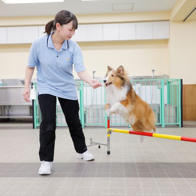 大宮国際動物専門学校 学校説明会（選んだ学科を体験できる日）4