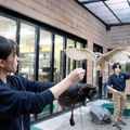 動物ふれあい＆動物園・動物飼育専攻説明会／ＴＣＡ東京ＥＣＯ動物海洋専門学校