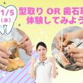 東京医学技術専門学校 【歯科衛生士/1時間】気になる学費！？分割ってできるの！？