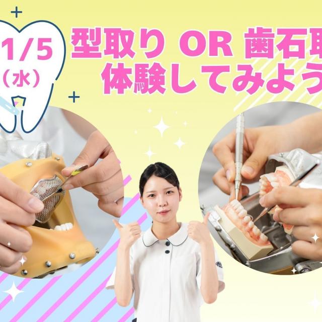 東京医学技術専門学校 【歯科衛生士/1時間】気になる学費！？分割ってできるの！？1