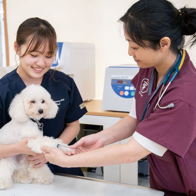 専門学校　福岡ビジョナリーアーツ 【ペット】 トリマー×動物看護師2
