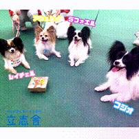 OCカメラサムネイル画像