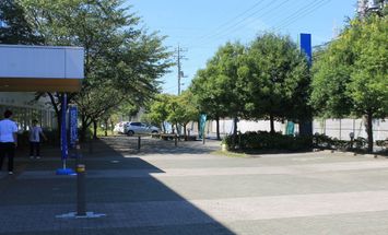 八千代リハビリテーション学院のブログインフォ一覧 11 スタディサプリ 進路