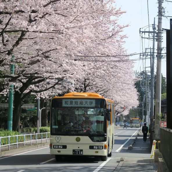 和泉短期大学 資料請求 願書請求 学校案内 スタディサプリ 進路