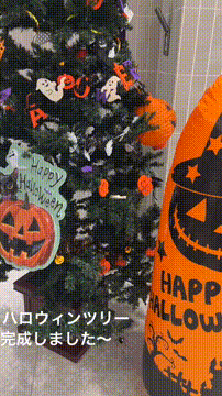 OCカメラサムネイル画像