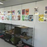 第7回　九州動物学院の今を体験しよう！の詳細