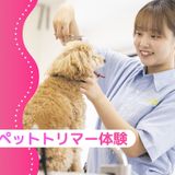 ペットトリマー体験の詳細