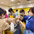 ヤマザキ動物専門学校 専門学校　オープンキャンパス（半日コース）