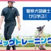 ＴＣＡ東京ＥＣＯ動物海洋専門学校 【警察犬訓練士から学ぶ！】 ドッグトレーニング