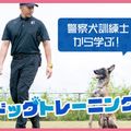 ＴＣＡ東京ＥＣＯ動物海洋専門学校 【警察犬訓練士から学ぶ！】 ドッグトレーニング