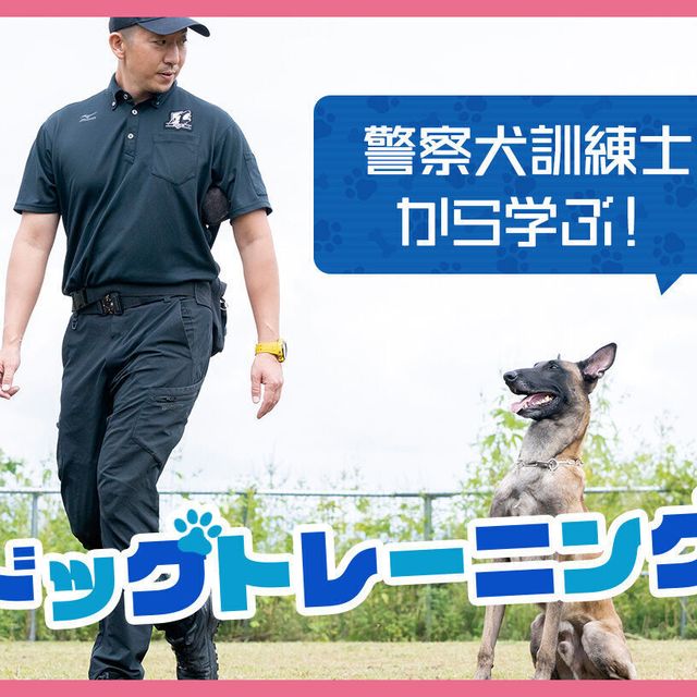 ＴＣＡ東京ＥＣＯ動物海洋専門学校 【警察犬訓練士から学ぶ！】 ドッグトレーニング1